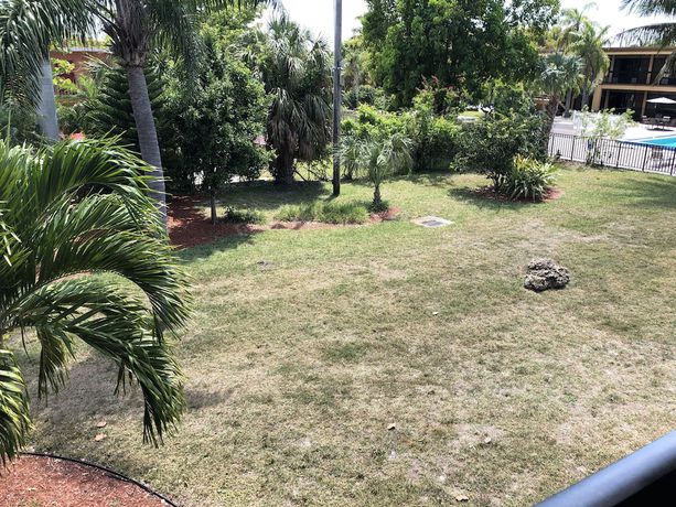 Imagen de los exteriores del Motel Travelodge by Wyndham Fort Myers North. Foto 15