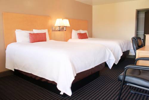 Imagen de la habitación del Motel Travelodge by Wyndham Vallejo. Foto 7