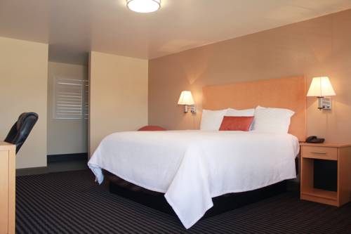 Imagen de la habitación del Motel Travelodge by Wyndham Vallejo. Foto 9