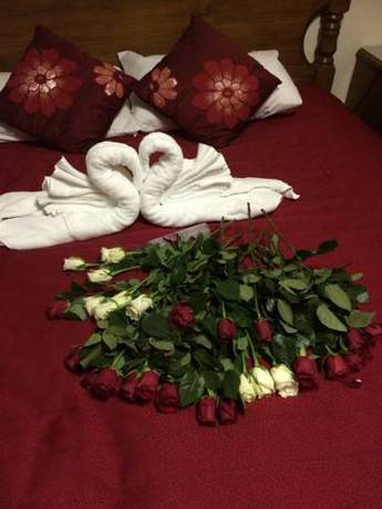 Imagen de la habitación del Motel Tumut Valley. Foto 6