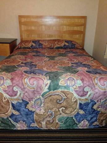 Imagen de la habitación del Motel Twin Spruce. Foto 1