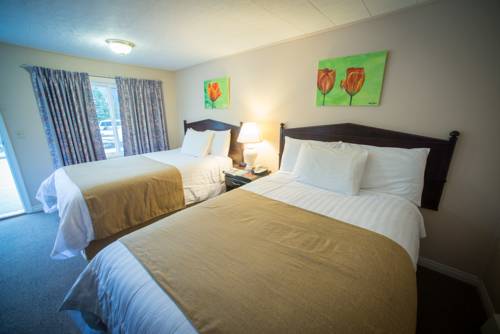 Imagen de la habitación del Motel Villa, Nelson. Foto 10