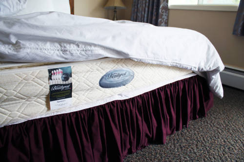 Imagen de la habitación del Motel Villa, Nelson. Foto 12