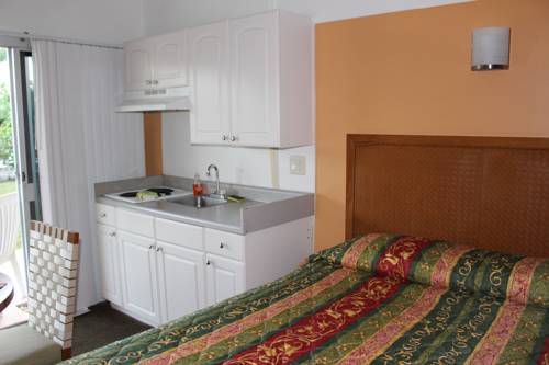 Imagen de la habitación del Motel Warm Mineral Springs. Foto 2