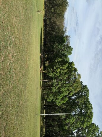 Imagen general del Motel Warrumbungles Mountain. Foto 7