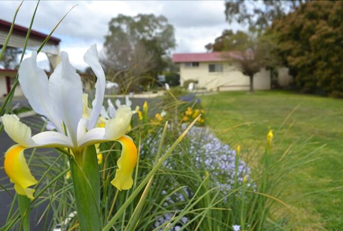 Imagen de los exteriores del Motel Wattle. Foto 28