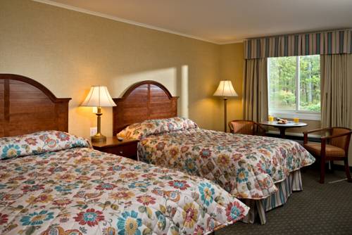 Imagen de la habitación del Motel Wellfleet and Lodge. Foto 4