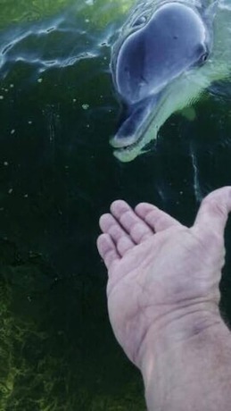 Imagen general del Motel Whyalla Country Inn. Foto 3