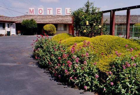 Imagen de la habitación del Motel Wiebe. Foto 2