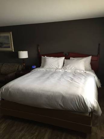 Imagen de la habitación del Motel Wigle's. Foto 7