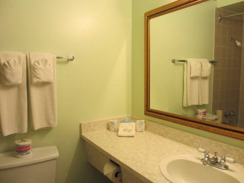 Imagen de la habitación del Motel Windsor, Hope. Foto 3