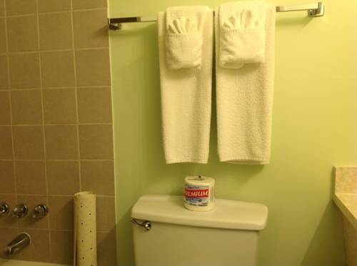 Imagen de la habitación del Motel Windsor, Hope. Foto 6