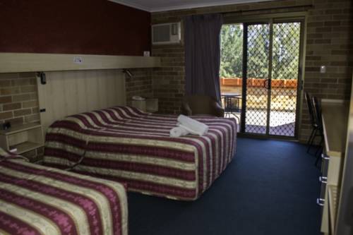 Imagen de la habitación del Motel Windsor Terrace. Foto 4