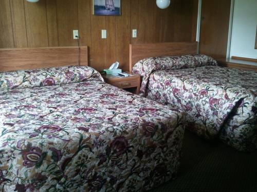 Imagen de la habitación del Motel Wyoming. Foto 8