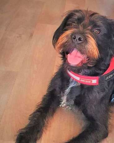 Imagen de la habitación del Motel Zebra. Foto 3