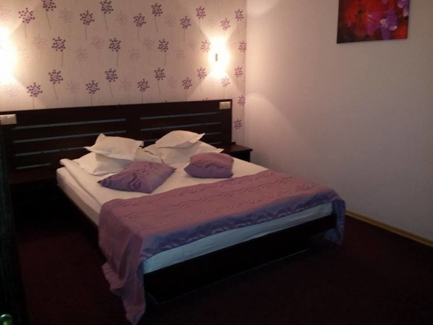 Imagen de la habitación del Pensión 3 Stejari. Foto 8