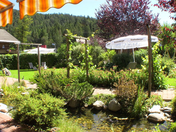 Imagen de la habitación del Pensión Activ Bergfrieden. Foto 8