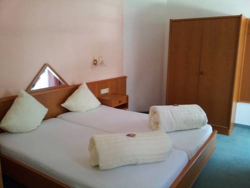 Imagen de los exteriores del Pensión Alpin. Foto 6