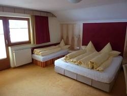 Imagen general del Pensión Alpina Neustift. Foto 8