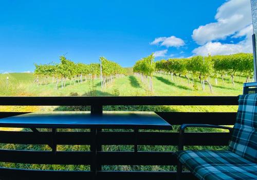 Imagen de la habitación del Pensión Am Weinberg. Foto 10