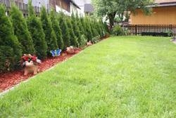 Imagen general del Pensión Anneliese. Foto 12