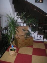 Imagen general del Pensión Anneliese. Foto 20