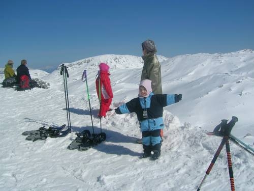 Imagen general del Pensión Appartements Elfi. Foto 8