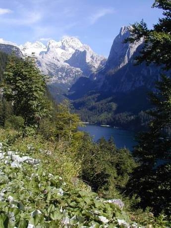 Imagen general del Pensión Appartements Elfi. Foto 11