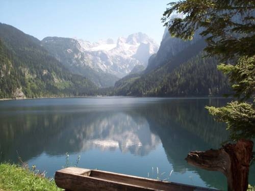 Imagen general del Pensión Appartements Elfi. Foto 13