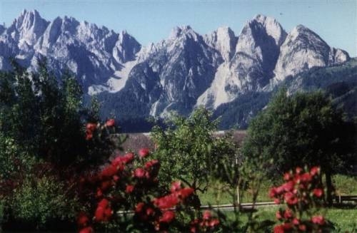 Imagen general del Pensión Appartements Elfi. Foto 20