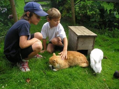 Imagen general del Pensión Appartements Reithof. Foto 22