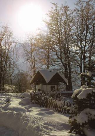 Imagen de la habitación del Pensión Appartements ötzmooshof. Foto 2