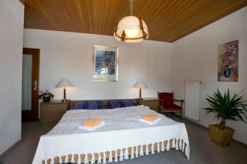 Imagen de la habitación del Pensión Arberwald. Foto 6