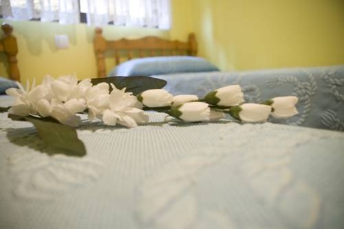 Imagen general del Pensión Aries II. Foto 4