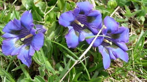 Imagen general del Pensión Astoria, Lech - Zurs . Foto 15