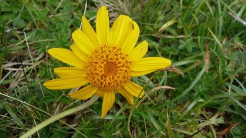 Imagen general del Pensión Astoria, Lech - Zurs . Foto 22