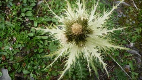 Imagen general del Pensión Astoria, Lech - Zurs . Foto 24