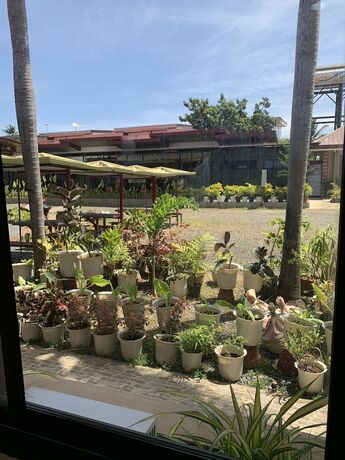 Imagen general del Pensión Balay Inato Pension. Foto 15