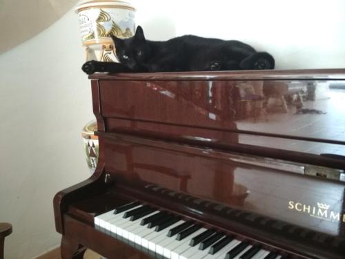 Imagen general del Pensión Bellavista, Puerto Pollensa. Foto 5