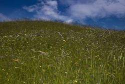 Imagen general del Pensión Bergmähder. Foto 17