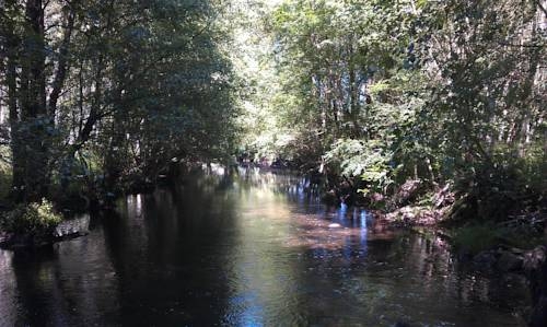 Imagen general del Pensión Blasones. Foto 8