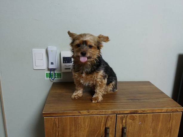 Imagen de los interiores del Pensión Boryeong Laon. Foto 16