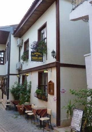 Imagen general del Pensión Camel Pension. Foto 9