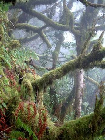 Imagen general del Pensión Candelaria. Foto 9