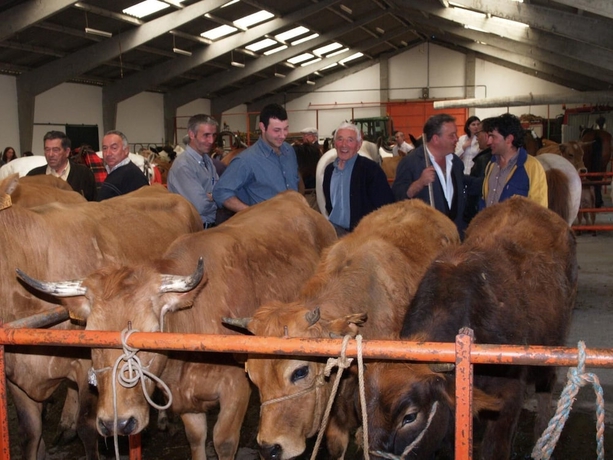 Imagen del bar/restaurante del Pensión Casa Manolo. Foto 4