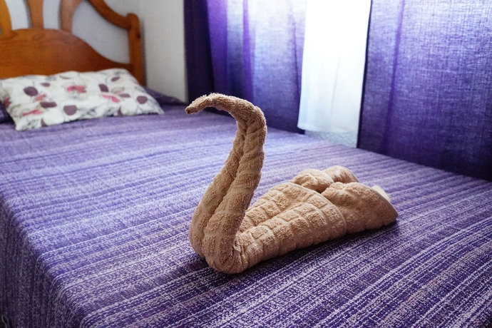 Imagen de la habitación del Pensión Centricacalp. Foto 10