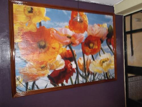 Imagen general del Pensión Colonia. Foto 14