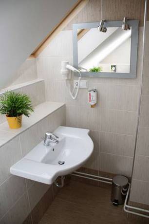Imagen de la habitación del Pensión Coloseum, Pruhonice. Foto 14
