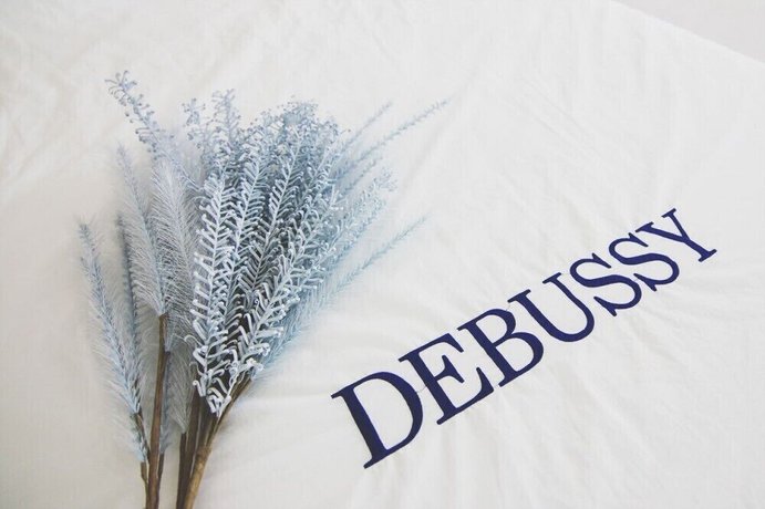 Imagen de la habitación del Pensión Debussy. Foto 14