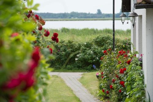 Imagen general del Pensión Deichgraf Middelhagen. Foto 7